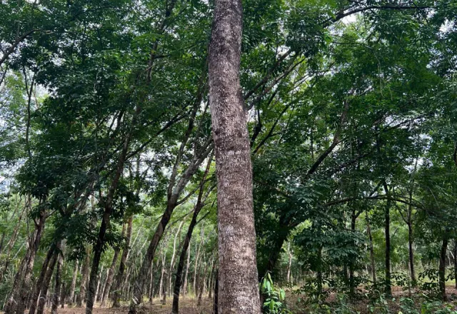 Tiêu điểm tháng 5