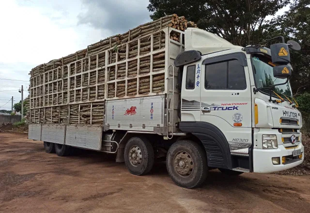 Triều Phương đầu tư thúc đẩy sản xuất phục vụ nhu cầu tiêu thụ