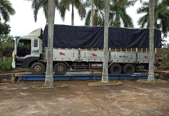 Tiêu điểm tháng 5