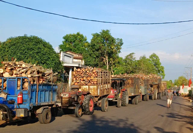 Tiêu điểm tháng 5