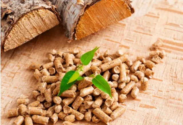 Từ tài nguyên đến năng lượng sạch
