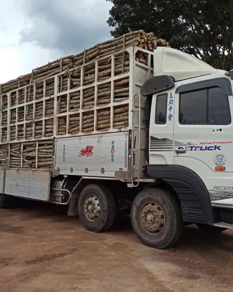 Đóng gói & vận chuyển