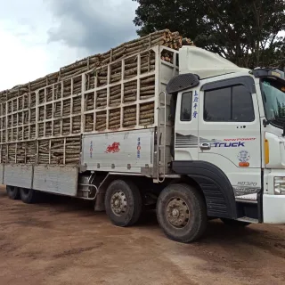 Triều Phương đầu tư thúc đẩy sản xuất phục vụ nhu cầu tiêu thụ