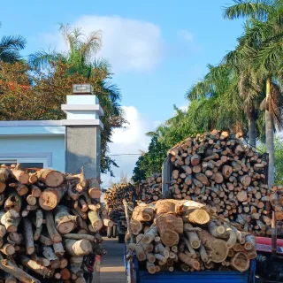 Gỗ tròn xếp tại xưởng Triều Phương