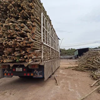 Xếp gỗ nguyên liệu lên xe