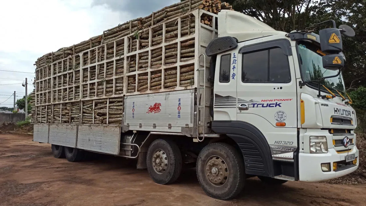 Triều Phương đầu tư thúc đẩy sản xuất phục vụ nhu cầu tiêu thụ